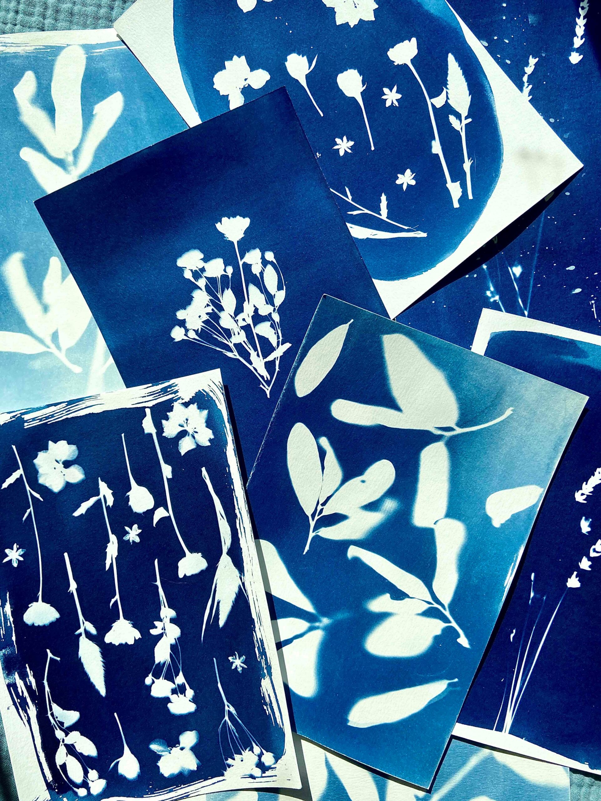 Cyanotype prints of florals by Abbey Kish.