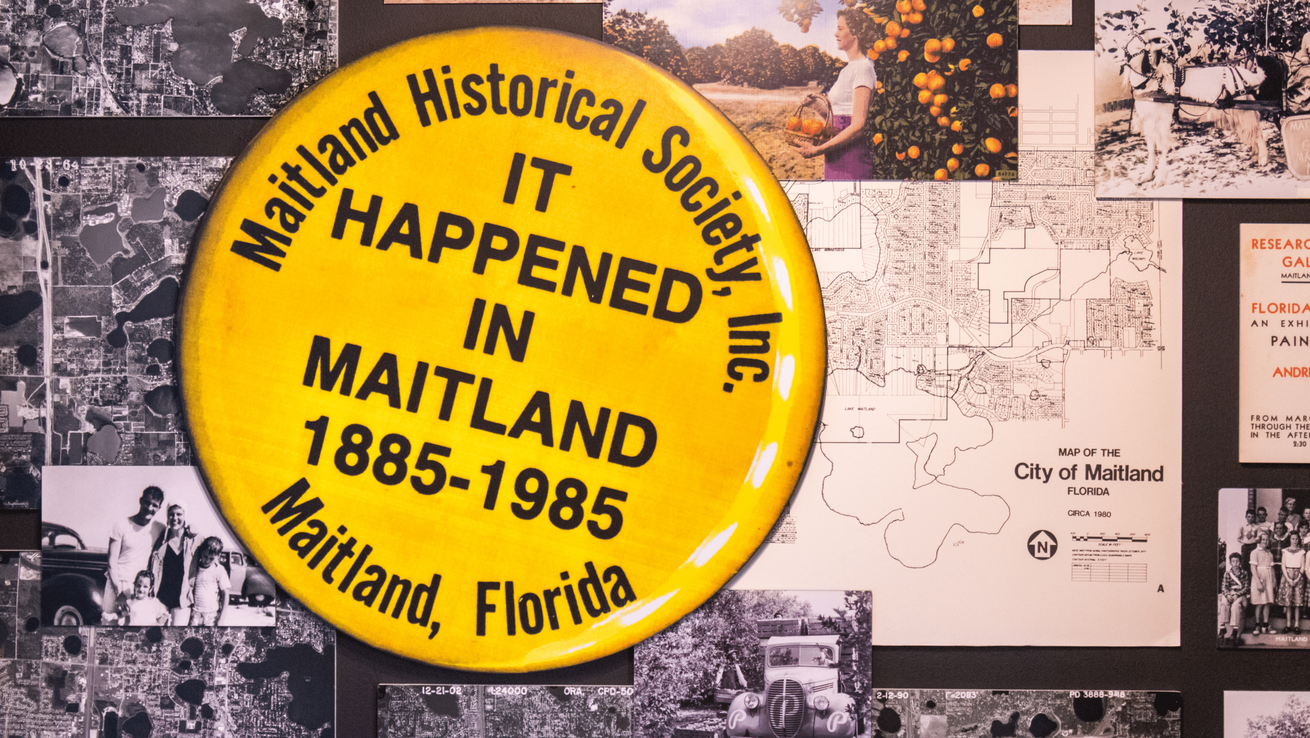 A large yellow replica of a lapel button that says It happened in Maitland 1885-1985 hangs on a wall of Maitland maps and memorabilia