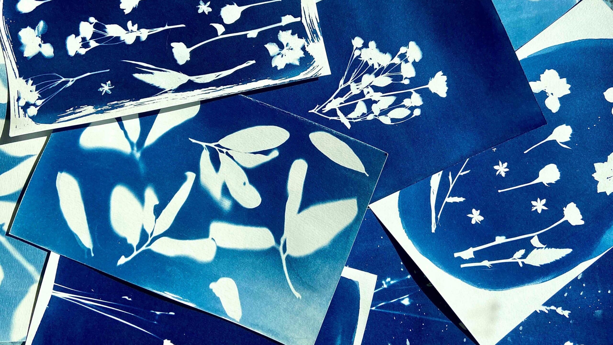 Several pages of Cyanotype prints