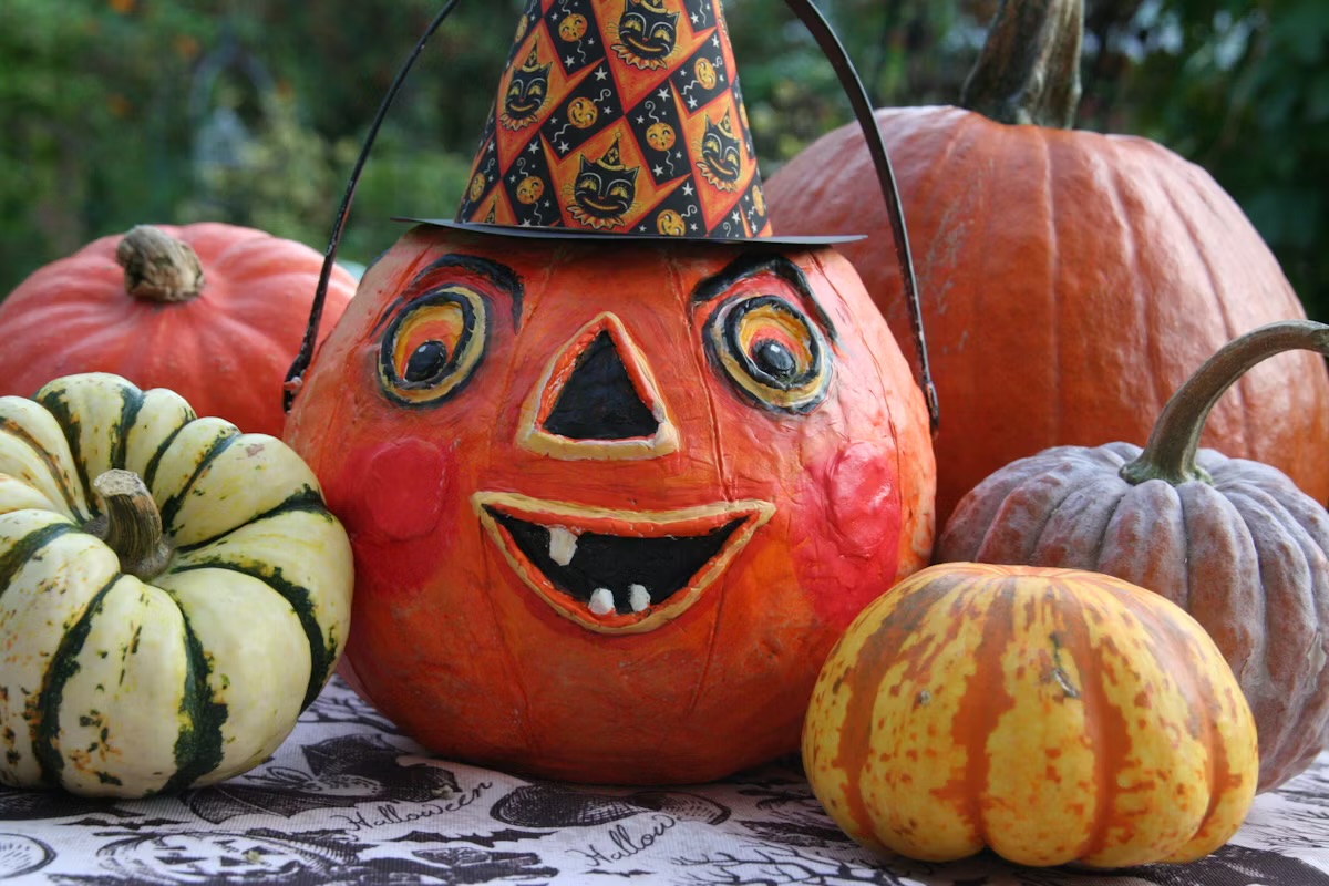 Abbey Kish Jack-o-Lantern